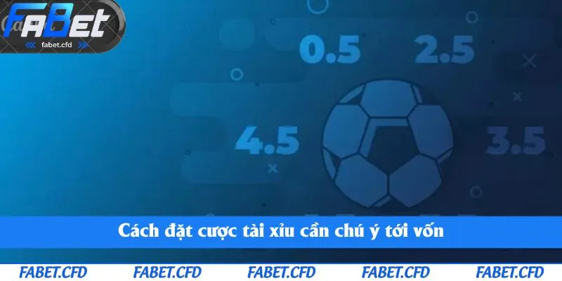 Cách đặt cược tài xỉu cần chú ý tới vốn