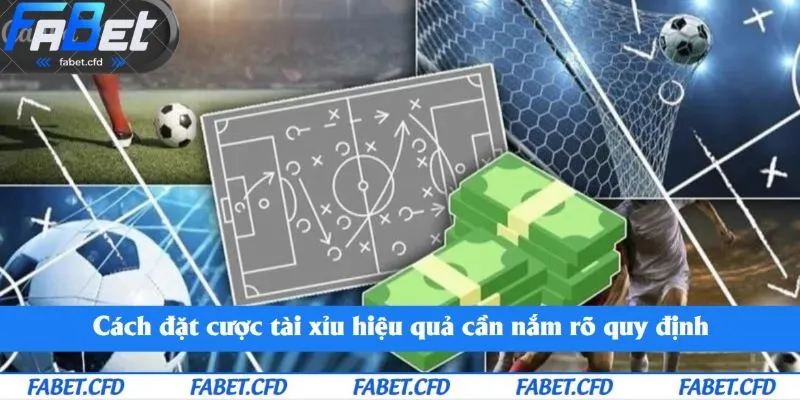 Cách đặt cược tài xỉu hiệu quả cần nắm rõ quy định