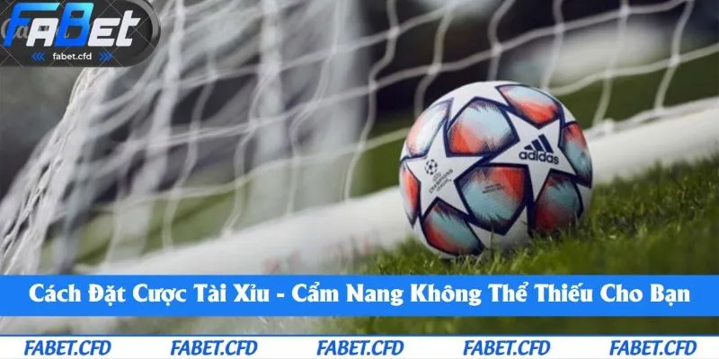 Cách đặt cược Tài Xỉu