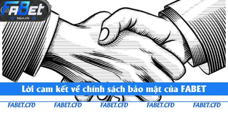 Lời cam kết về chính sách bảo mật của FABET