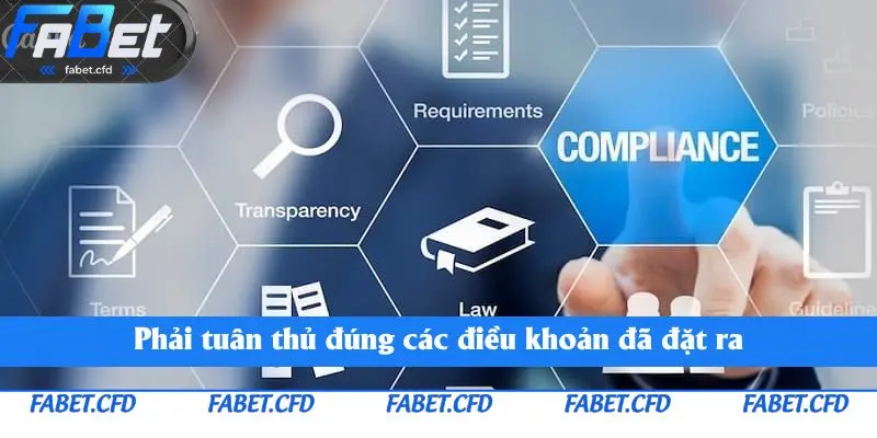 Phải tuân thủ đúng các điều khoản đã đặt ra