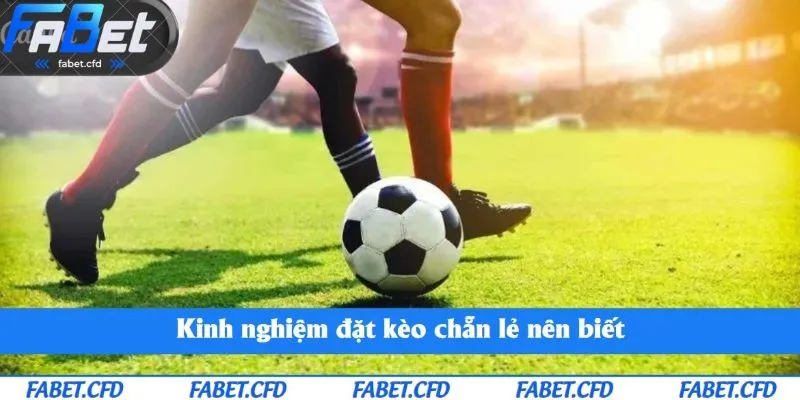 Kinh nghiệm đặt kèo chẵn lẻ nên biết